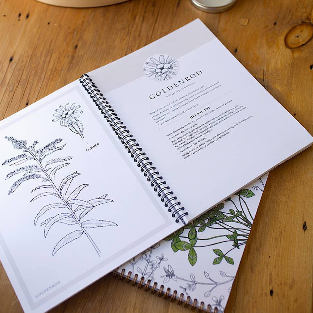 Herbal Academy Botanical Illustrations Workbook (1 pc) - product shown open. 