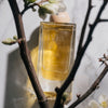 IVEY Huile de Parfum Body Oil (100 ml) - product shown with twigs over it.