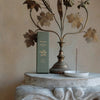 Lifestyle shot of Thelma Paris Winter Earth Incense Sticks (48 sticks) showing box and incense stick burning on incense dish with ornate botanical metal decor in the background