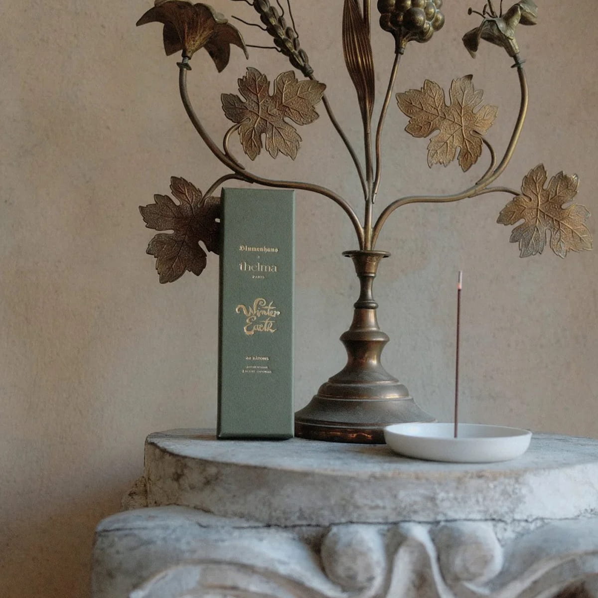 Lifestyle shot of Thelma Paris Winter Earth Incense Sticks (48 sticks) showing box and incense stick burning on incense dish with ornate botanical metal decor in the background