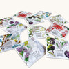 Fragonard Parfumeur L’Herbier de Fragonard Perfumed Sachets (20 x 2 ml) - product shown on cream background.