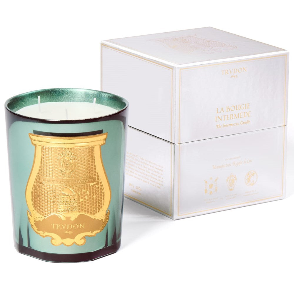 Trudon Fir Candle (9.5 oz) - product shown next packaging.