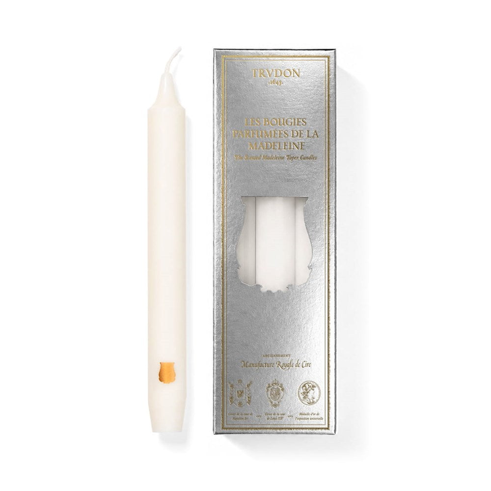 Trudon Fir 8” Taper Candles Set (6 pcs)