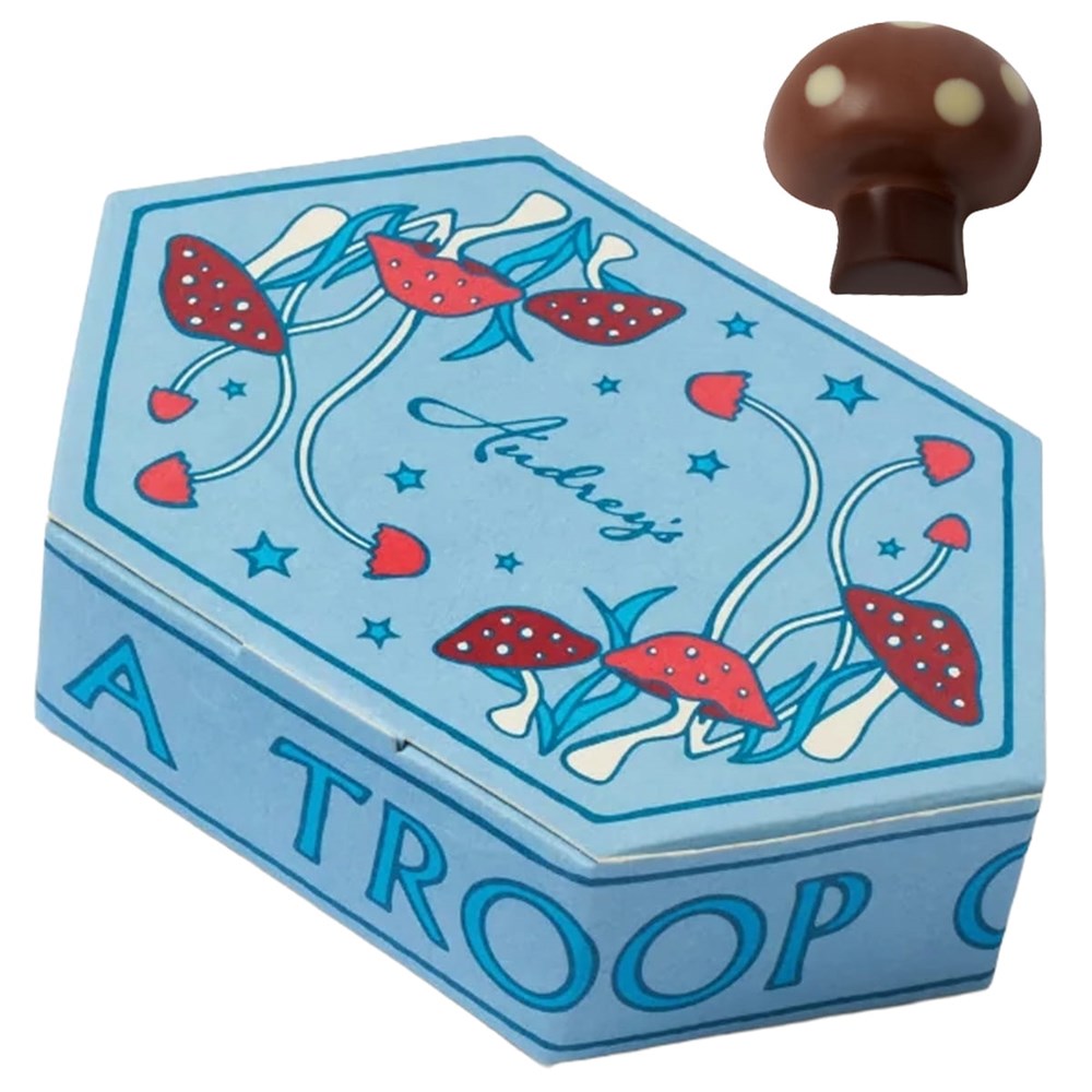 Audrey’s Chocolates A Troop of Toadstools Chocolate showing box and one toadstool piece of chocolate