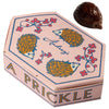 Audrey’s Chocolates A Prickle Of Hedgehogs Chocolate showing box and 1 piece of hedgehog chocolate