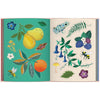 Chronicle Books Art of the Forest Sticker Book (1 pc) sample pages showing botanical and insect illustrations: lemons, berries, flowers, leaves, a frog, a bee, and mushrooms on teal and cream pages.