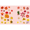 Chronicle Books Extraordinary Things Sticker Book (1 pc) sample pages featuring decorative flower stickers on a light pink background, including various flowers and botanical illustrations.
