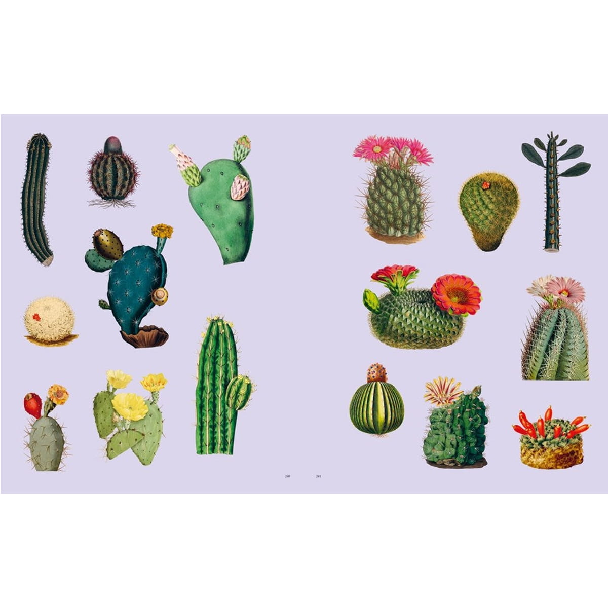 Chronicle Books Extraordinary Things Sticker Book (1 pc) sample pages showing multiple cactus species arranged on a pale lavender background.