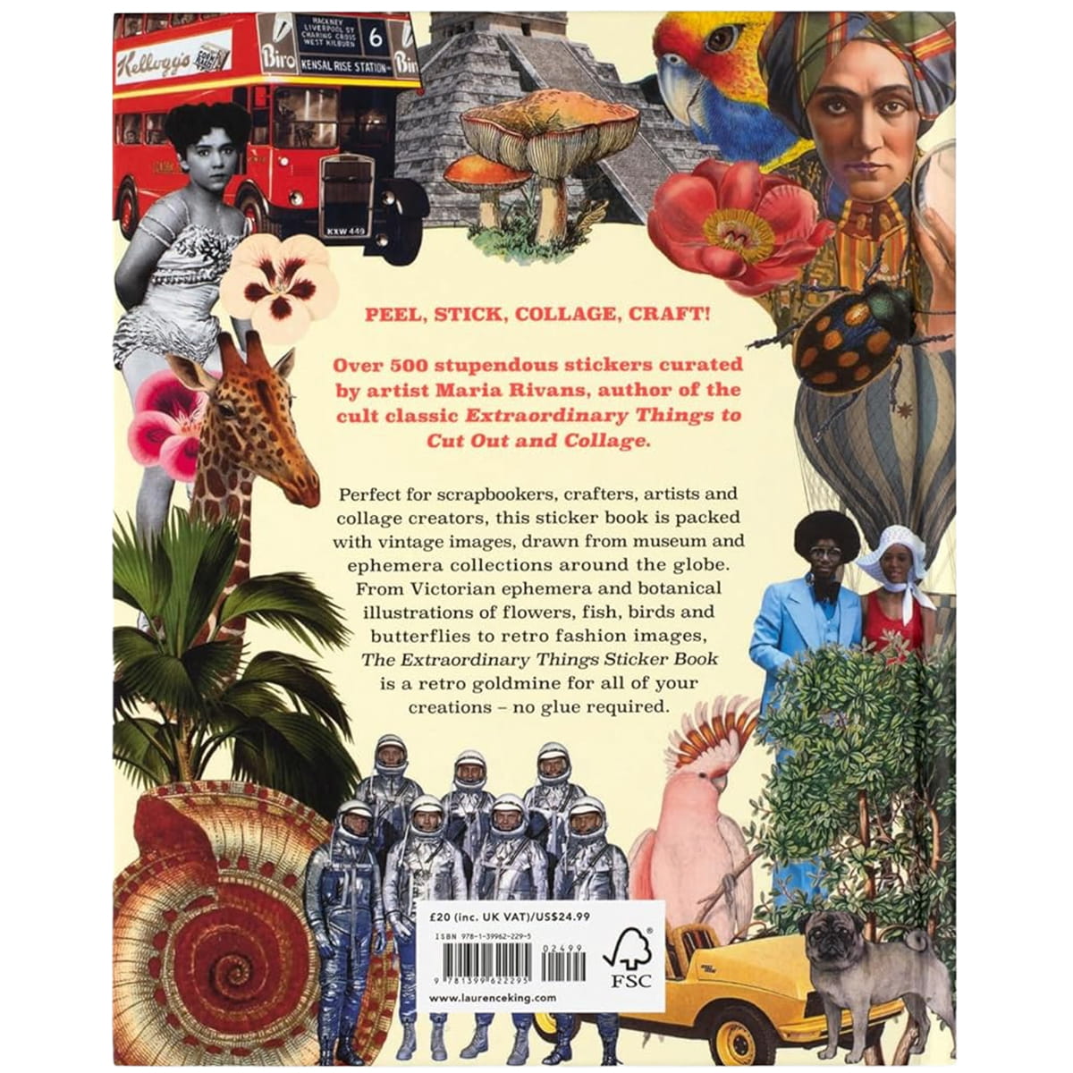 Chronicle Books Extraordinary Things Sticker Book (1 pc) back cover