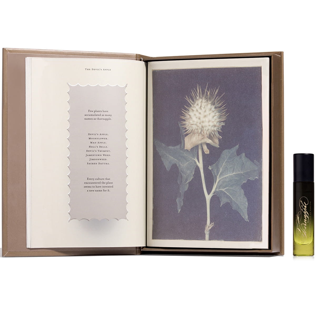 Heretic Parfum Thornapple Perfume (5 ml) outer box shown open with printed pages and botanical artwork and text, shown with 5 ml thornapple perfume next to opened outer box