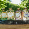 Santa Maria Novella set of 4 Eau de Parfums in front of plants