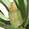 Lifestyle shot of Ligne St. Barth Aloe Vera Gel with Mint (6.8 oz) with aloe vera in the background