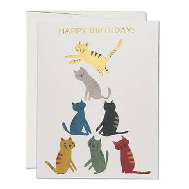 Red Cap Cards Gold Kitty Birthday Card (1 pc)