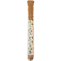 June & December Fluttery Mix Pencil Terrarium Set - 5 pencils