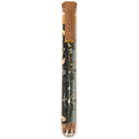 June & December Garden Mix Pencil Terrarium Set - 5 pcs