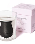 Cire Trudon Special Edition Rose Poivree Candle with box