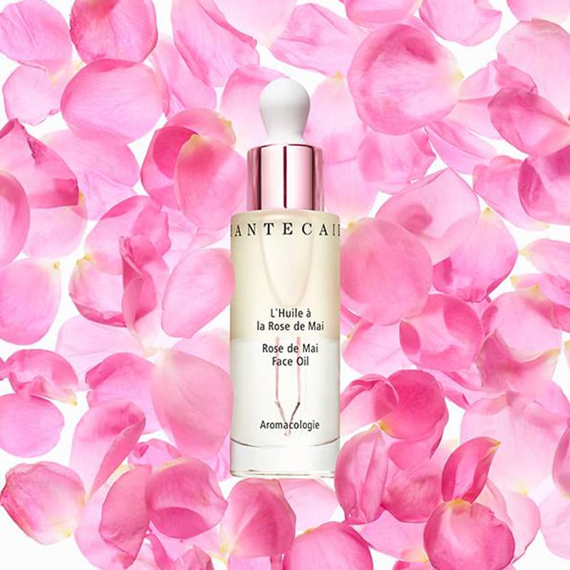 Chantecaille Rose de Mai Face Oil 30 ml with pink rose petals in the background
