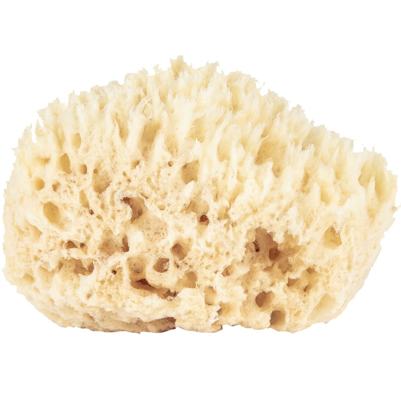 Baudelaire Sponge Wool Small ( 1 pc - 4.5 in.)