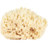 Sponge Wool Small