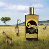Memo Paris African Leather Eau de Parfum (75 ml) beauty shot in Africa