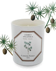 Carriere Freres Cedar Candle  (185 g) with cedar plant illustration in the background