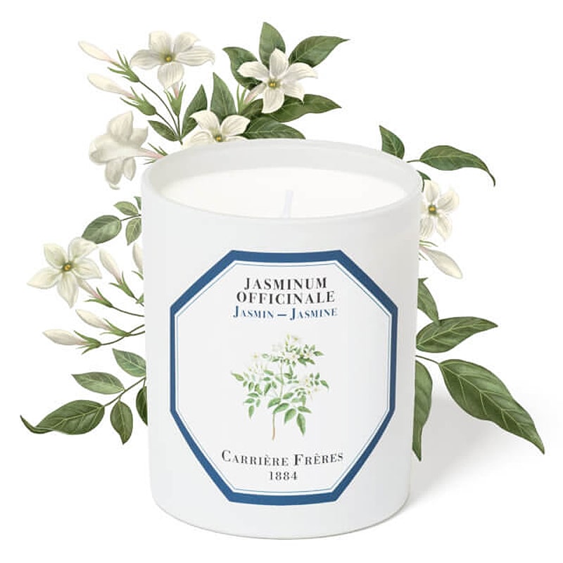 Carriere Freres Jasmine Candle (185 g) with jasmine illustration behind candle
