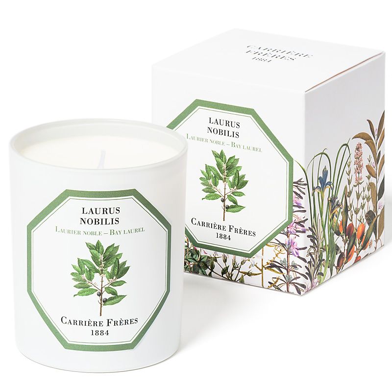 Carriere Freres Bay Laurel Candle (185 g) with box
