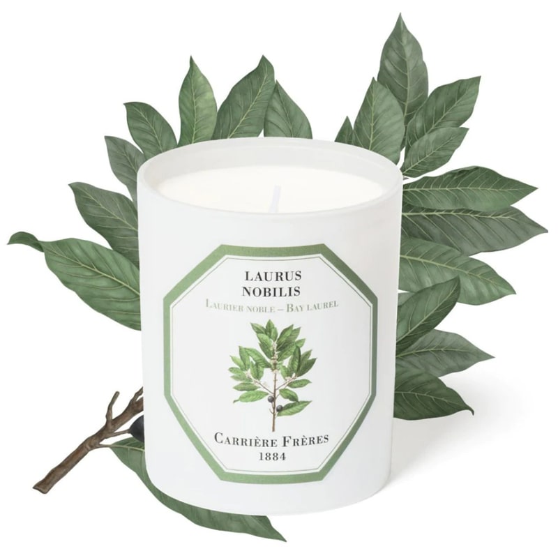 Carriere Freres Bay Laurel Candle (185 g) with bay laurel illustration behind candle