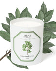 Carriere Freres Bay Laurel Candle (185 g) with bay laurel illustration behind candle