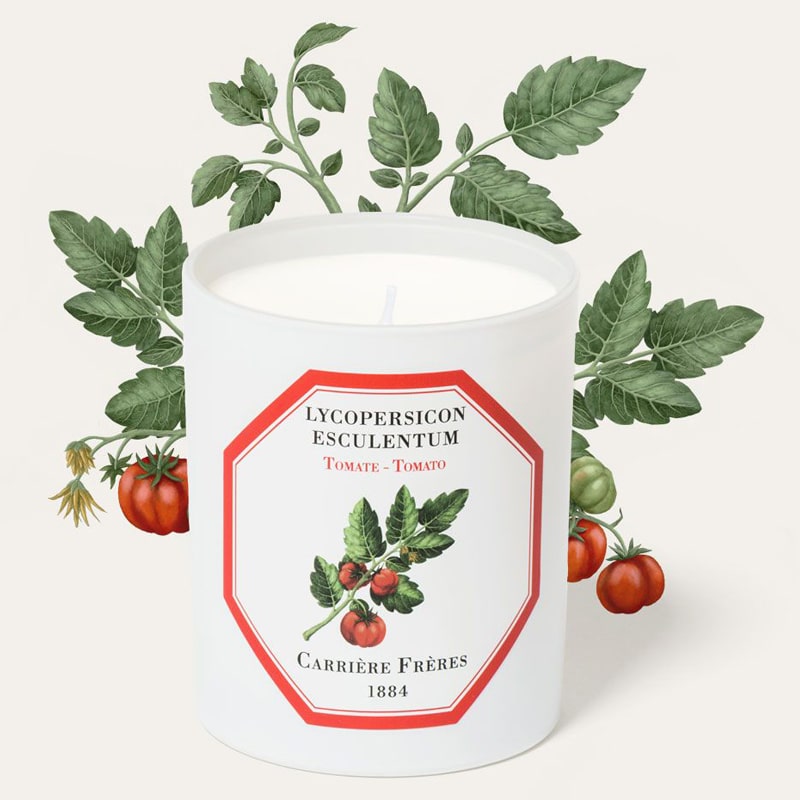 Carriere Freres Tomato Candle (185 g) with tomato illustration behind candle