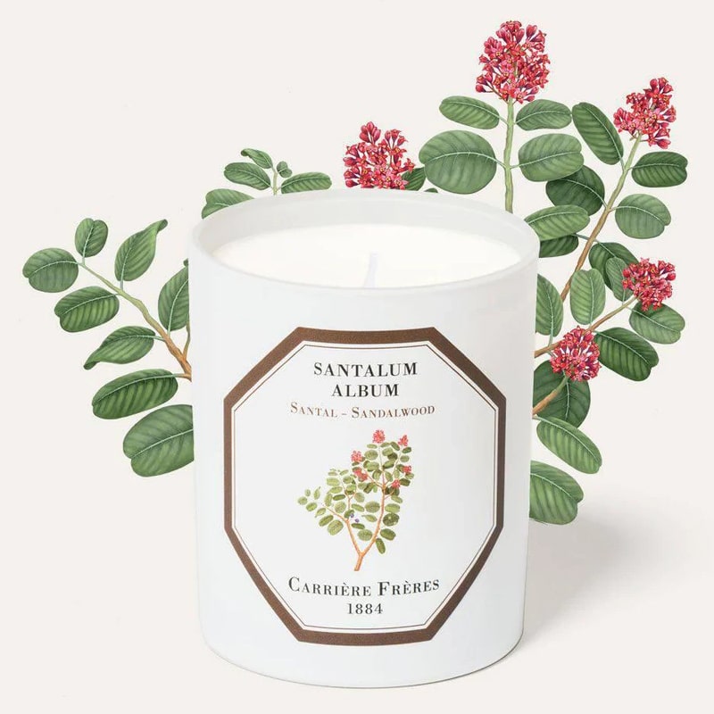 Carriere Freres Sandalwood Candle (185 g) with sandalwood illustration behind candle