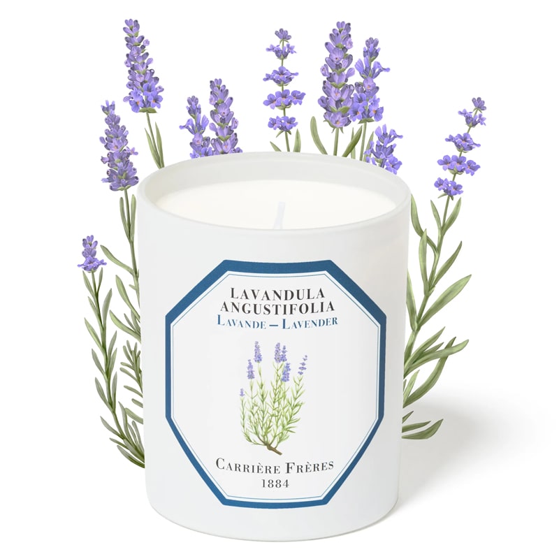 Carriere Freres Lavender Candle (185 g) with lavender illustration in the background