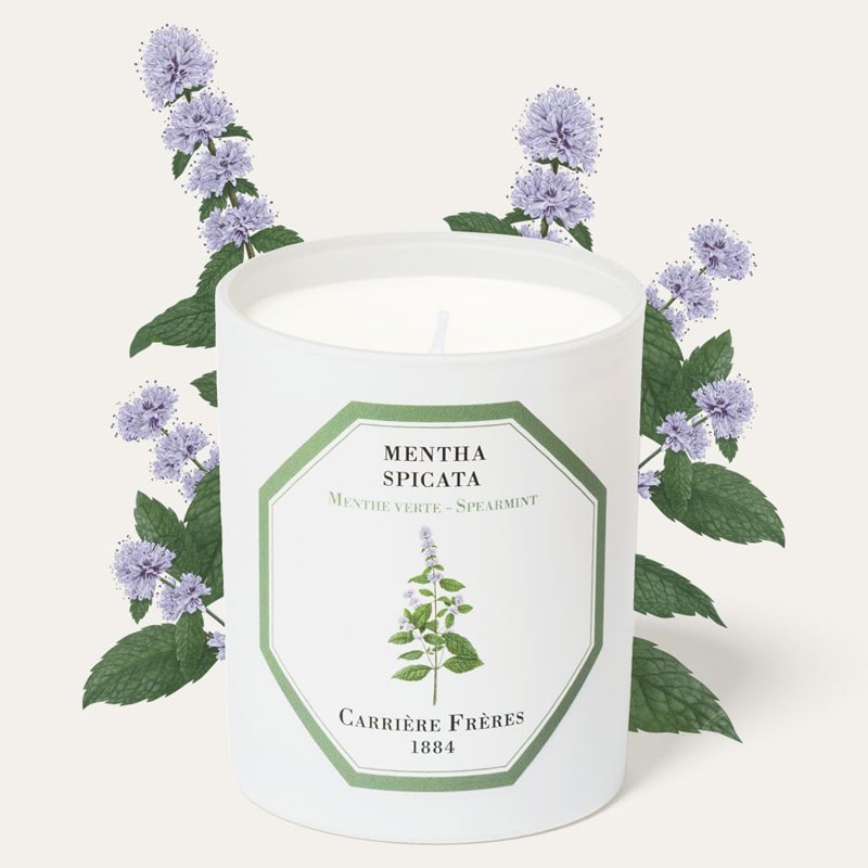 Carriere Freres Spearmint Candle (185 g) with spearmint illustration behind candle