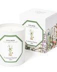 Carriere Freres Ginger Candle (185 g) with box