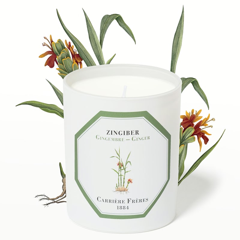 Carriere Freres Ginger Candle (185 g) with ginger illustration behind candle