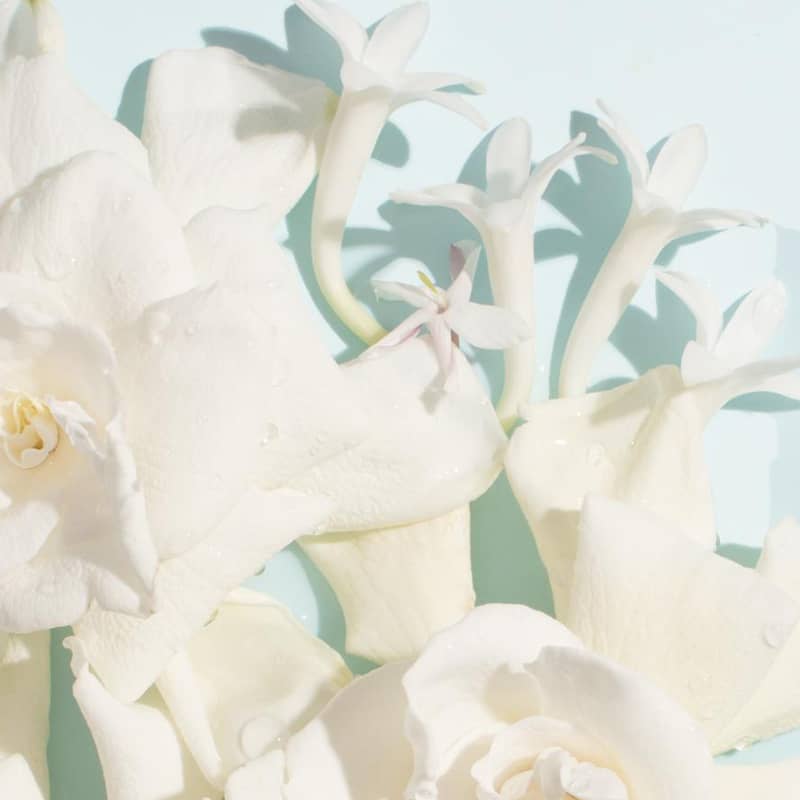 Chantecaille Petales Parfum - various white flowers including gardenias and jasmine