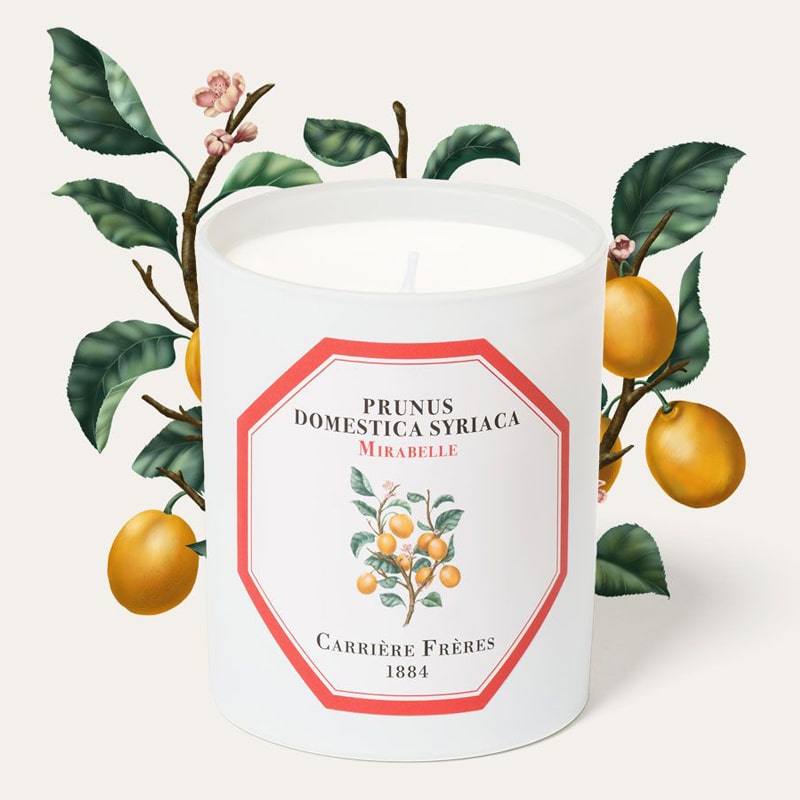 Carriere Freres Mirabelle Candle (185 g) with mirabelle illustration behind candle