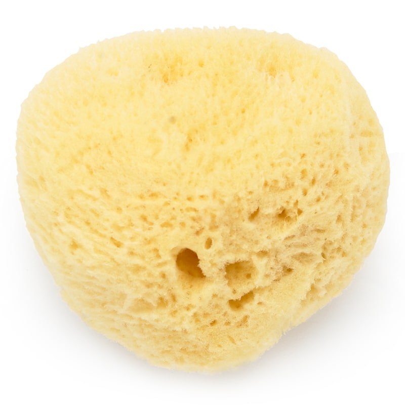 Ethically harvested fina silk sea sponge - 1 pc