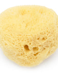 Ethically harvested fina silk sea sponge - 1 pc