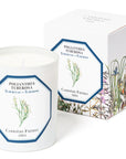 Carriere Freres Tuberose Candle (185 g) with box