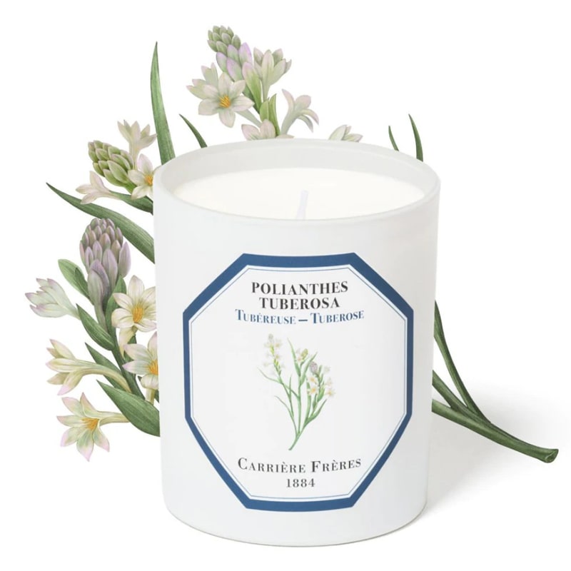 Carriere Freres Tuberose Candle (185 g) with tuberose illustration behind candle