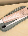 Davids Premium Natural Toothpaste - Herbal Citrus Peppermint (5.25 oz) on tray with toothbrush