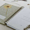 June & December Herbarium Journal - inside front cover