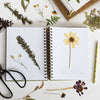 June & December Herbarium Journal - 2-page spread with plants in and around