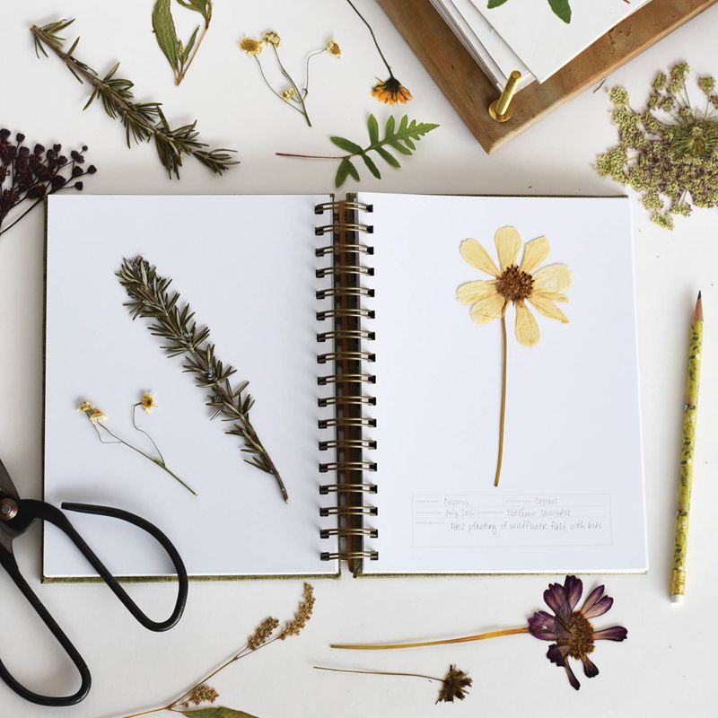 June &amp; December Herbarium Journal - 2-page spread with plants in and around