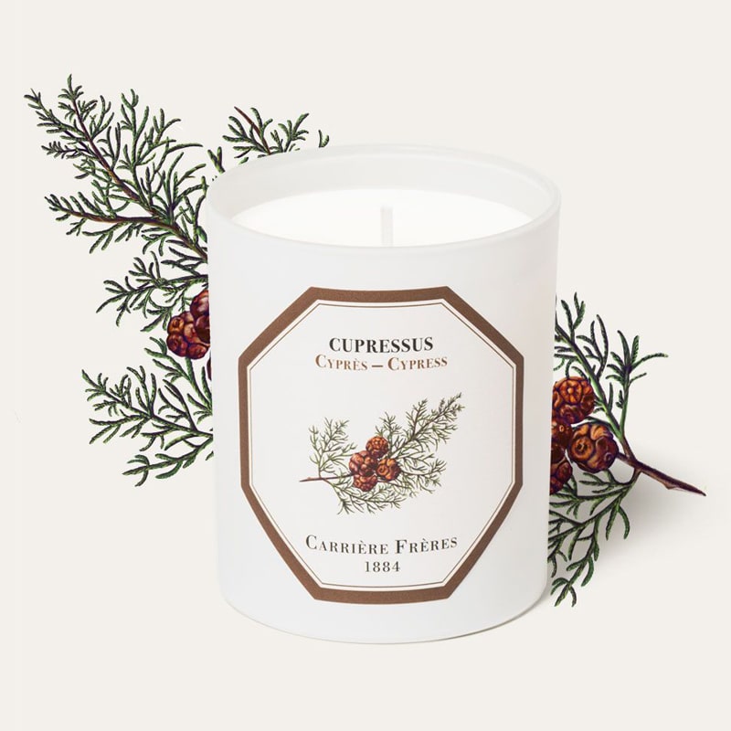 Carriere Freres Cypress Candle (185 g) with cypress illustration behind candle
