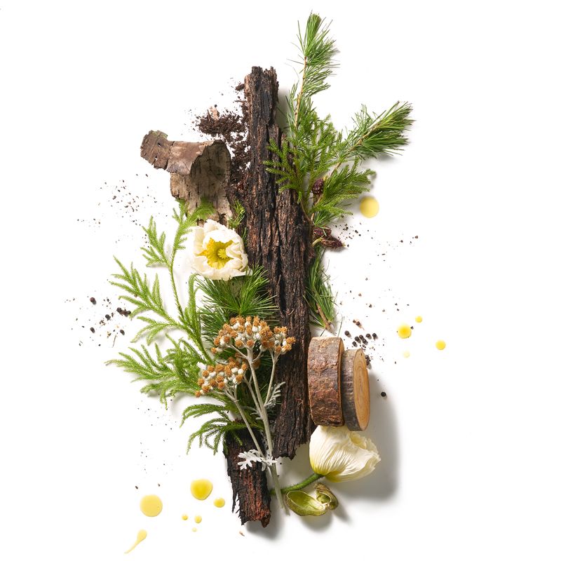 Corpus Cedar Flora Natural Deodorant raw ingredients