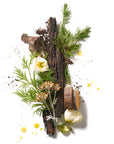Corpus Cedar Flora Natural Deodorant raw ingredients