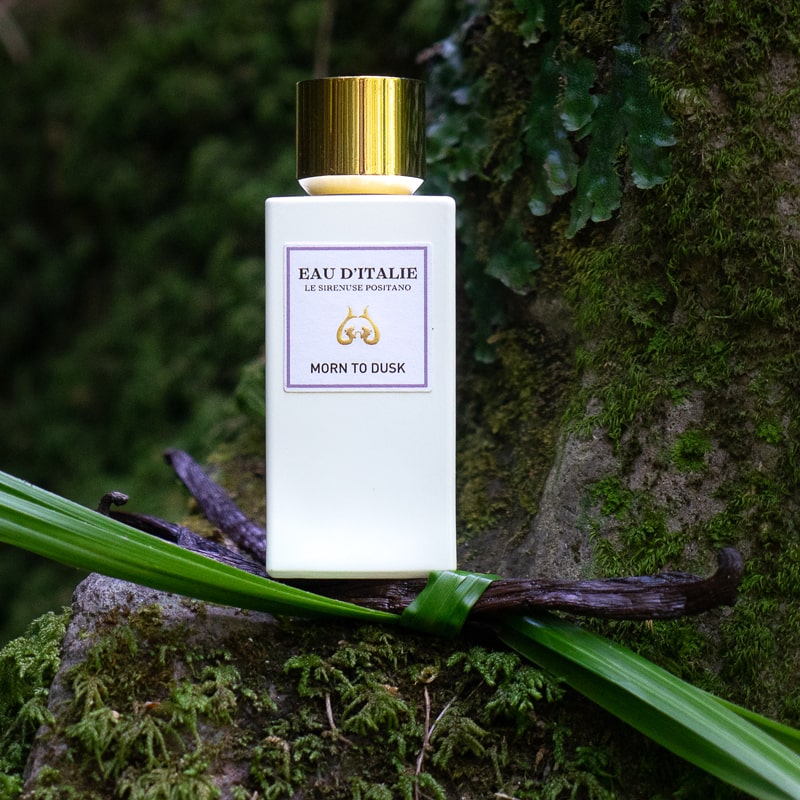 Lifestyle shot of Morn to Dusk Eau de Parfum Spray (100 ml) with vanilla pod wrapped with leaves in the foreground
