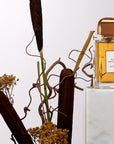 BDK Parfums Oud Abramad Eau de Parfum with plants (not included)